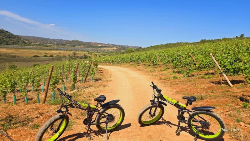 E-bike Tours Carvoeiro - Silves Tour - Experience the Algarve Interior on an E-bike from Carvoeiro to Silves