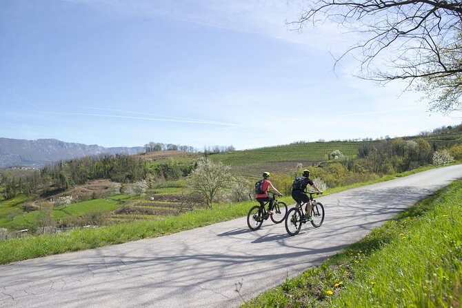 E-bike Vipava River Tour - Final Thoughts
