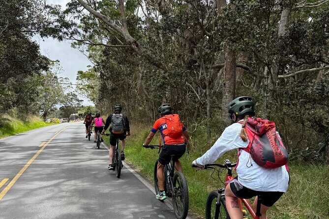 E Bike Volcanoes National Park Tour - Key Points