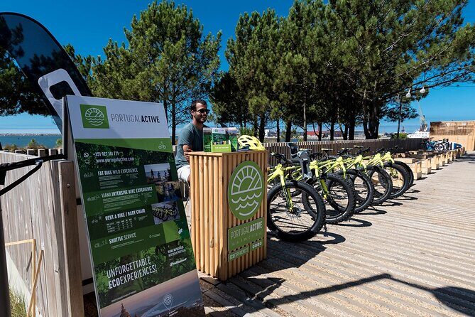 E-Bike Wild Experience with Transport from Porto and Braga - Who Should Book This Tour?