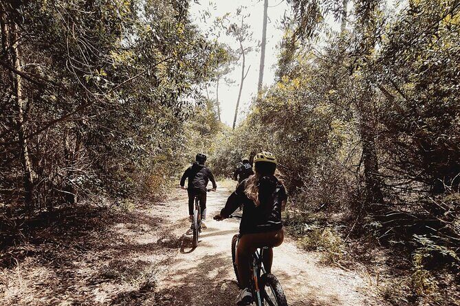 E-Bike Wild Experience with Transport from Porto and Braga - The Sum Up: Is It Worth It?