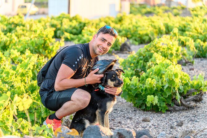 E-Bikes Rental in Santorini - Final Thoughts: Is It Worth It?