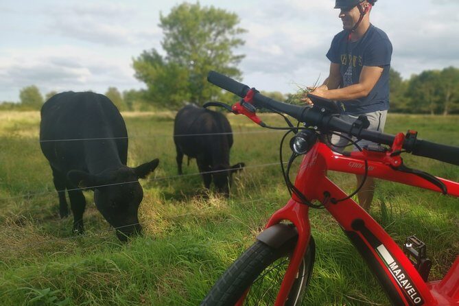 E-biking Central Forgotten Giants' s Adventure - Exploring the Itinerary in Detail