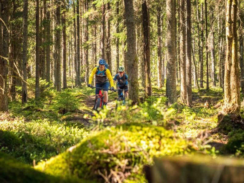 E-FatBike experience in small groups - Practical Considerations and Tips