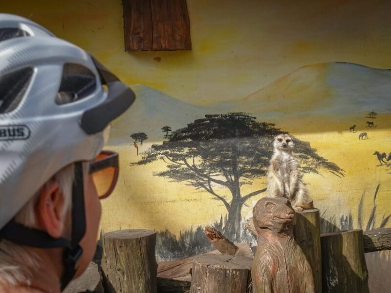 E-Mountain Bike Adventure in the Danube Bend - Key Points