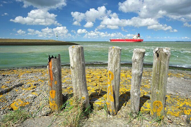 e-Scavenger hunt Terneuzen: Explore the city at your own pace - Key Points
