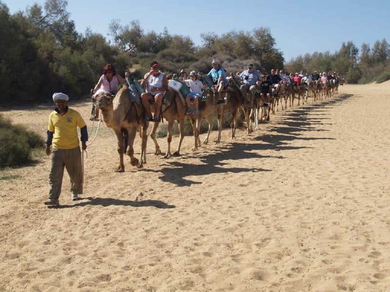 e-Scooter City Tour + Camel Ride inside Maspalomas Dunes - What Makes This Tour Stand Out?