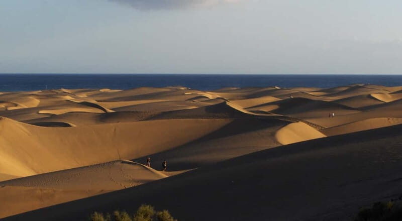 e-Scooter City Tour + Camel Ride inside Maspalomas Dunes - Understanding the Value