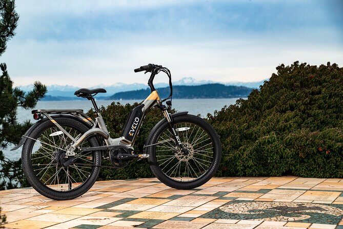 E-Scooter - E-Bike - Quadracycle - Bikes - Kick Scooter - Detailed Breakdown of the Experience