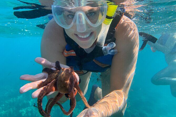 E-Scooter Snorkel With Photo and Video At Turtle Town - Discovering Turtle Town on a Motorized Snorkel Tour