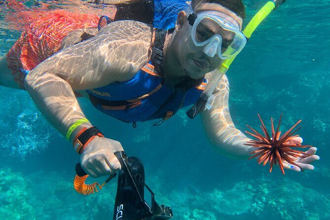 E-Scooter Snorkel With Photo and Video At Turtle Town - Why This Tour Offers Excellent Value