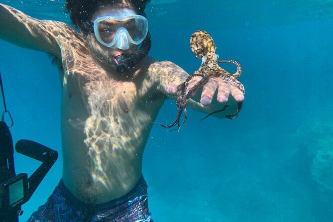 E-Scooter Snorkel With Photo and Video At Turtle Town - Who Will Love This Experience?