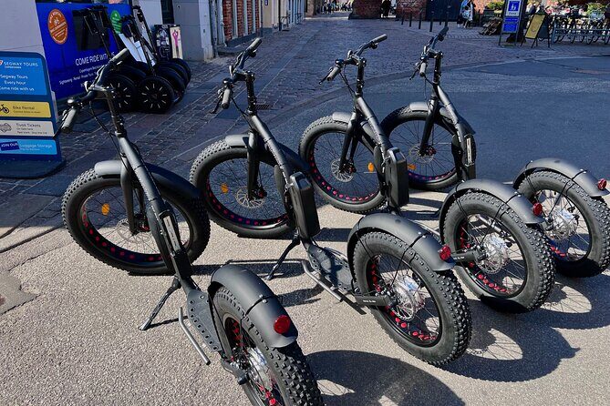 E-Scooter "Stand Up Kick Bike" 2 Hour Guided Copenhagen Tour - Key Points