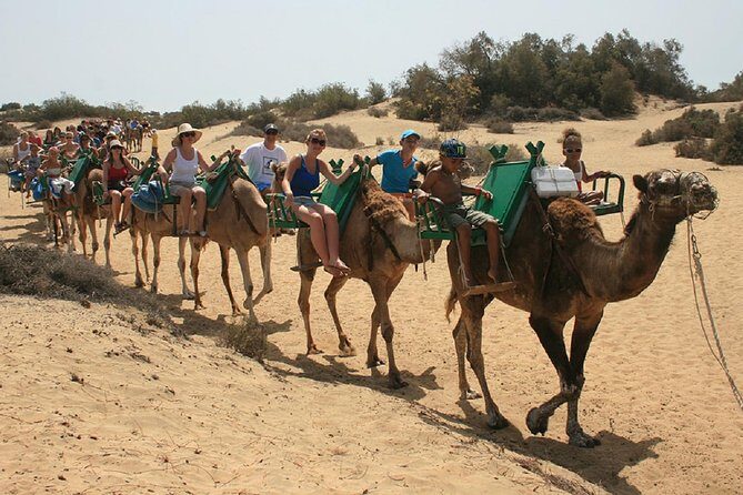 E-Scooter Tour with Camel ride : Maspalomas Dunes and main points - FAQ