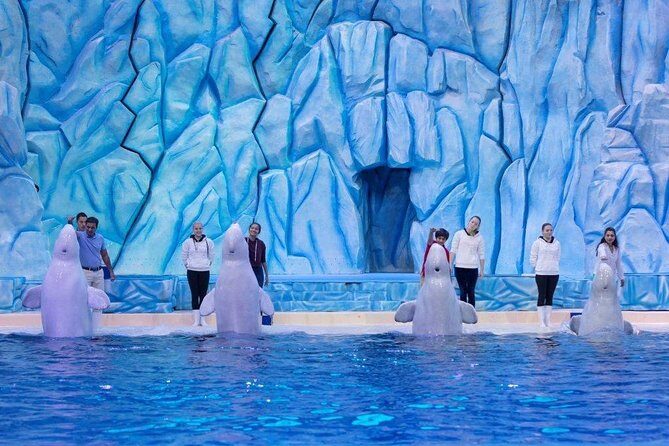 E-Ticket: Zhuhai Chimelong Ocean Kingdom, Circus & Penguin Hotel 1-night Coupon - Key Points