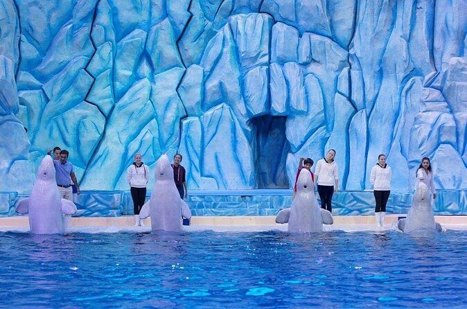 E-Ticket: Zhuhai Chimelong Ocean Kingdom, Circus & Penguin Hotel 1-night Coupon - Why This Tour Is Worth Considering