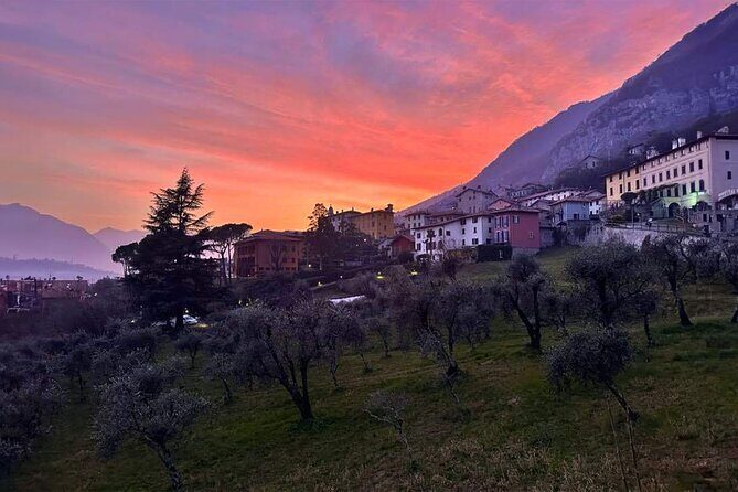 E.V.O. oil of Lake Como tasting+ food pairings - Who Should Consider This Tour?