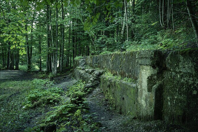 Eagle's Nest-Berchtesgaden-Obersalzberg Private Half Day WWII Historical Tour - A Detailed Look at the Berchtesgaden WWII Tour