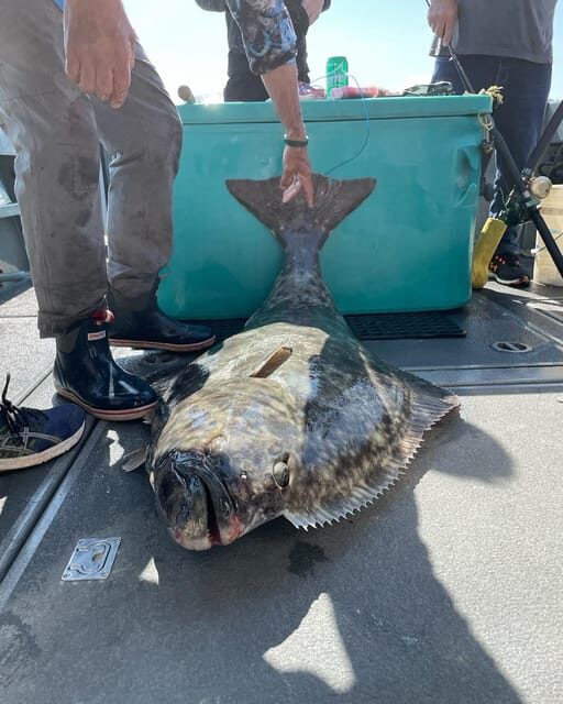 Ear Mountain Charters tours: whale watching or fishing - Detailed Review of Ear Mountain Charters Tours