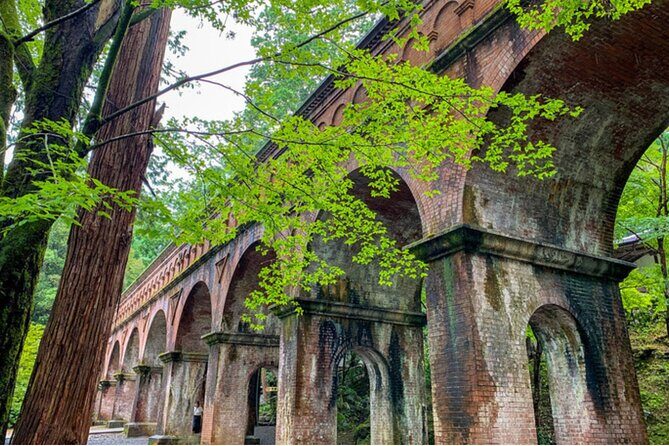 Early Bird E-biking through East Kyoto - Pricing and Value