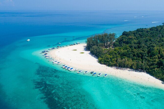 Early Bird Phi Phi 4 Islands by Speedboat 2 Trips in 1 Day - Key Points