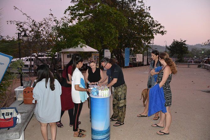 Early Bird Phi Phi Island & 4 Islands Speed Boat Tour from Krabi - Summing Up