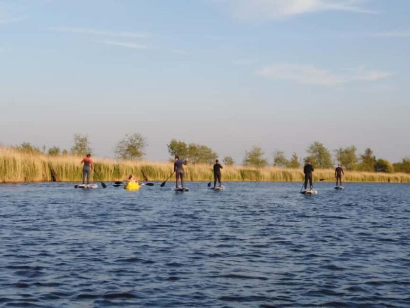Early Bird Standup Paddletour to Fishing Harbours - Exploring the Paddletour Experience in Depth