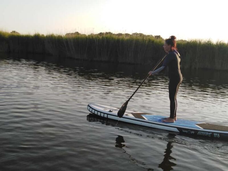 Early Bird Standup Paddletour to Fishing Harbours - Who Should Consider This Experience?