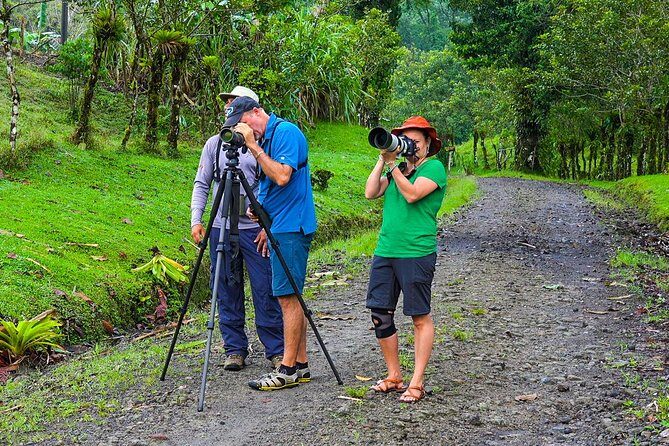 Early Bird Watching Tour - Guanacaste - Final Thoughts: Is It Worth It?