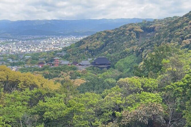 Early Morning Walking Tour: Historic Temples and Shrines - Why This Tour Offers Value