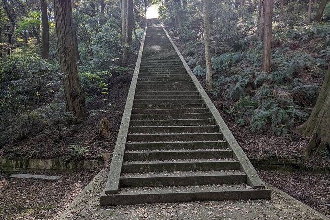 Early Morning Walking Tour: Historic Temples and Shrines - Who Should Consider This Tour?