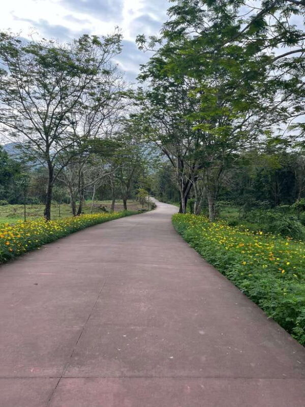 Early My Son tour/transfer to avoid crowd and the heat - What Makes This Tour Special?