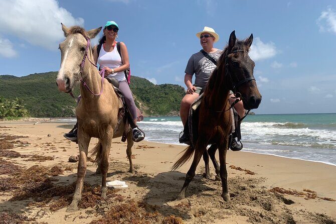 East Coast Horseback Riding, Waterfall & Soufriere Private Tour - Final Thoughts
