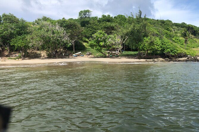 East Coast Private Island Day Trip Kayak & Picnic Experience - A Private Island Day Trip in St. Lucia: What to Expect
