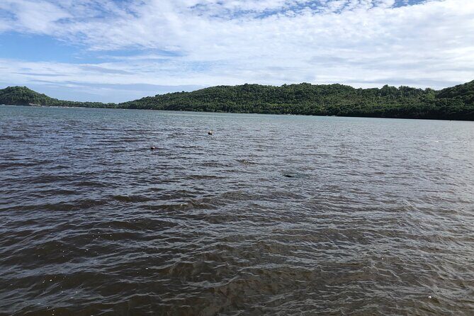 East Coast Private Island Day Trip Kayak & Picnic Experience - Summary