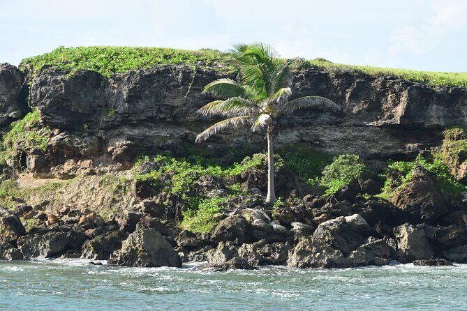 East Coast Private Tour of Barbados - Authentic Experiences and Practical Details