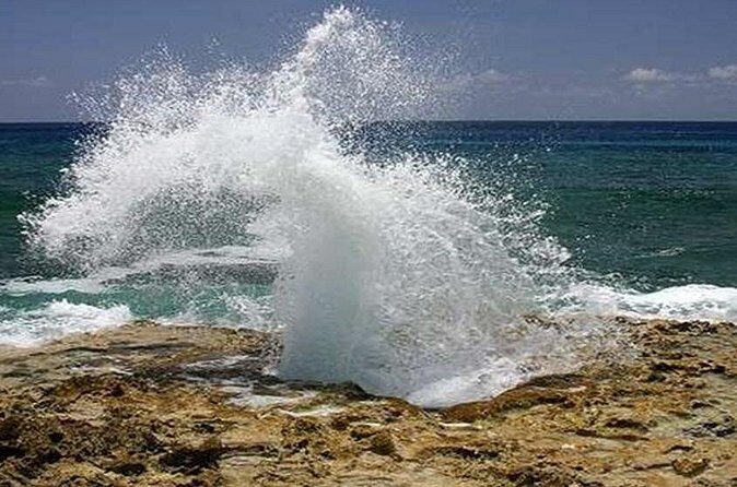 East End Activities and Tour in Grand Cayman - In-Depth Look at the Tour Experience