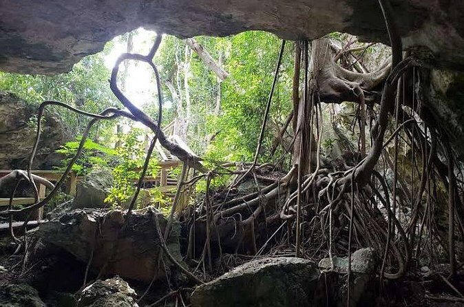 East End Private Day Trip Experience Tour - Frequently Asked Questions