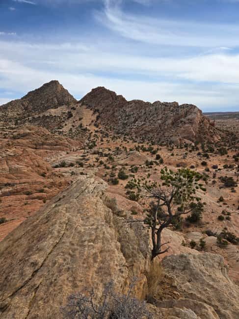 East Grand Canyon: Off-Road Tour With Picnic At The Rim - Key Points