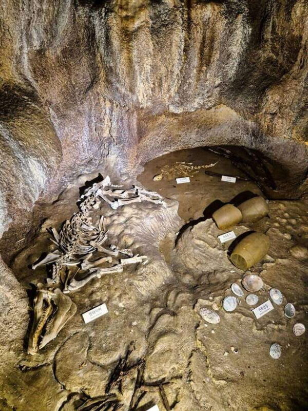 EAST JEJU: All Inclusive Private Tour w/ Taekwondo Show - Who Will Love This Tour?