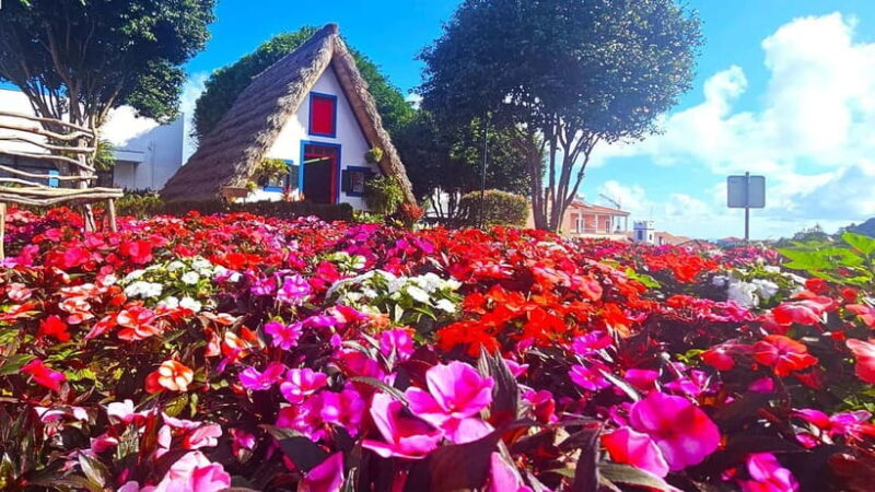 East Madeira: Private Tour with Views & History - In The Sum Up