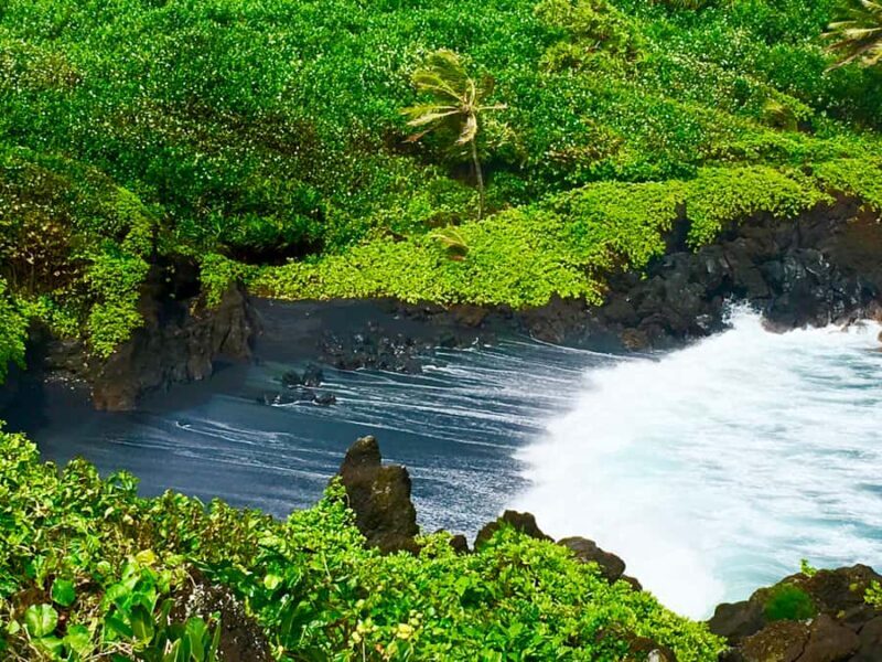 East Maui: Private Rainforest Tour or Road to Hana Loop Tour - Discover the Hidden Treasures of East Maui with a Private Rainforest or Road to Hana Loop Tour