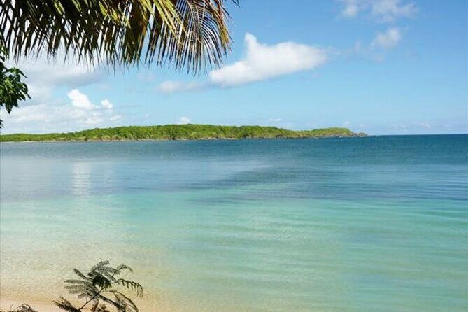 East Puerto Rico's Hidden Gems: Self-Guided Tour - Exploring the Itinerary: A Deep Dive into Puerto Rico’s Hidden Gems