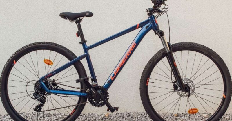 East Sussex: Lapierre Edge 2.9 Mountain Bike Rental 2 hours - Deep Dive into the Trails and Experience