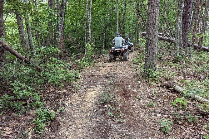 East Tennessee Off Road ATV Guided Experience - The Sum Up