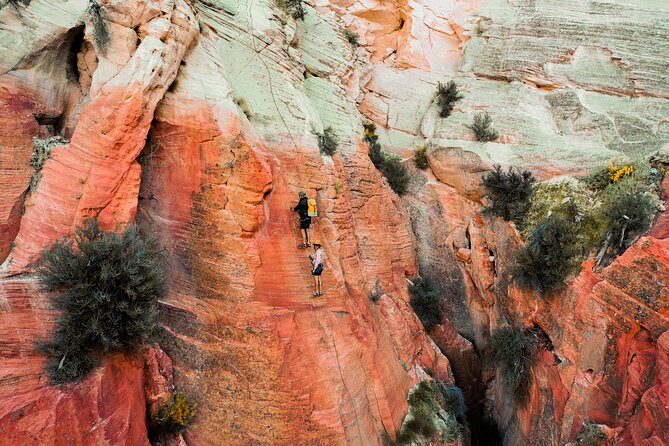 East Zion Elk Heart Cliffs Via Ferrata and Rappelling (3Hr) - Who Should Consider This Tour?