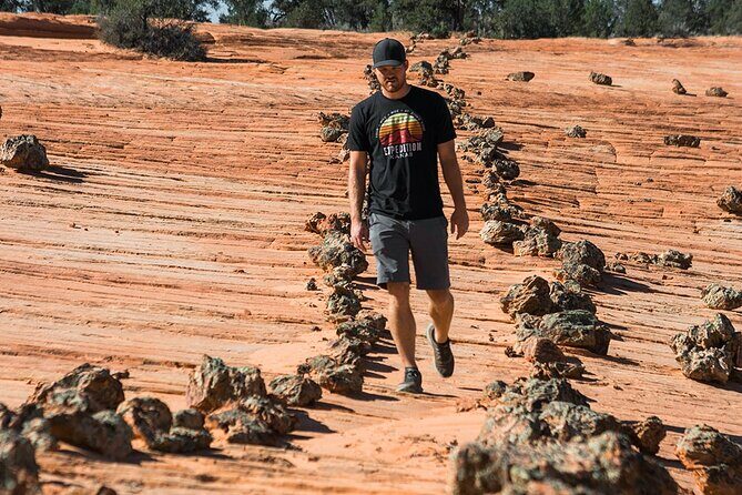 East Zion Outback UTV Tour with Licensed Guide - Exploring Zion’s Outback: What This UTV Tour Offers