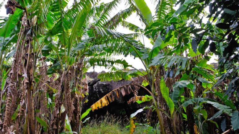 Easter Island: Full Day Ancestral Caves and Orongo Village - The Iconic Orongo Village