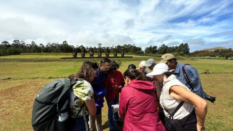 Easter Island: Half-Day Archaeology Tour - Key Points