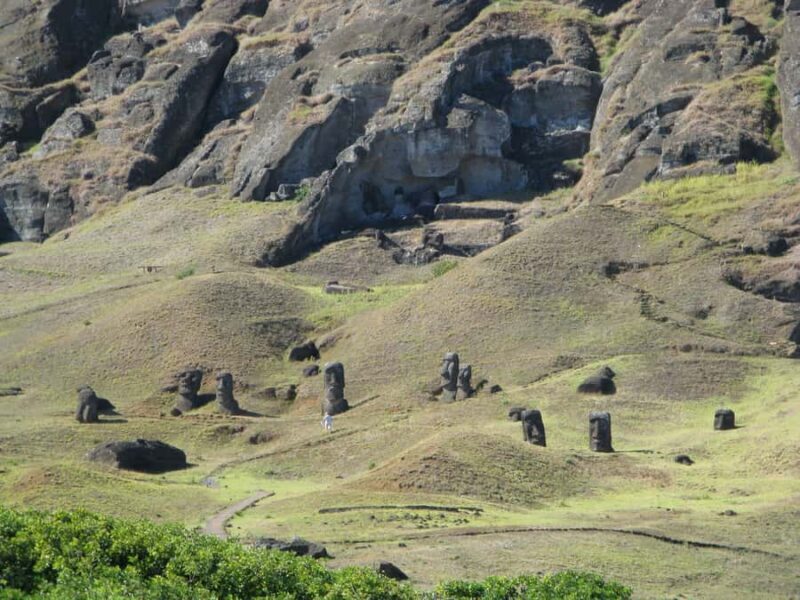 Easter Island: Private Full Day History Of The Moai - Who Would Appreciate This Tour?